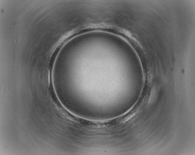 X0000068261221200604211036