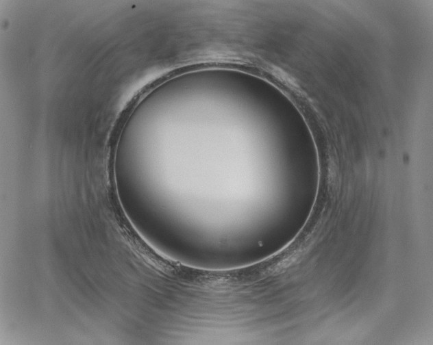 X0000068261222200604211036