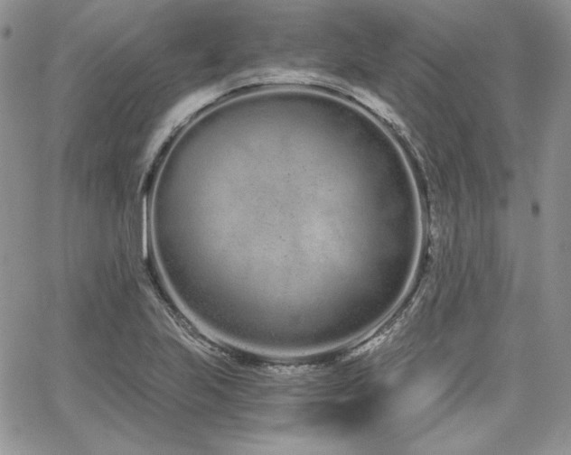 X0000068261223200604211036