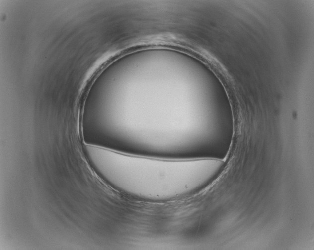 X0000068261224200604211036