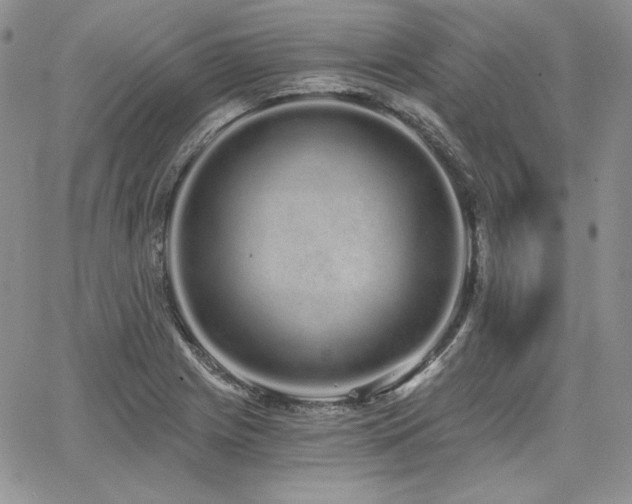 X0000068261225200604211036