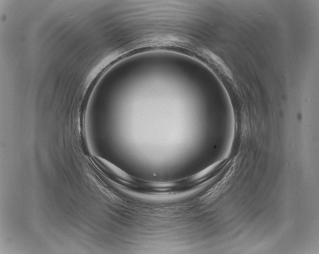 X0000068261226200604211036