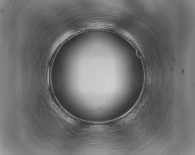 X0000068261227200604211036