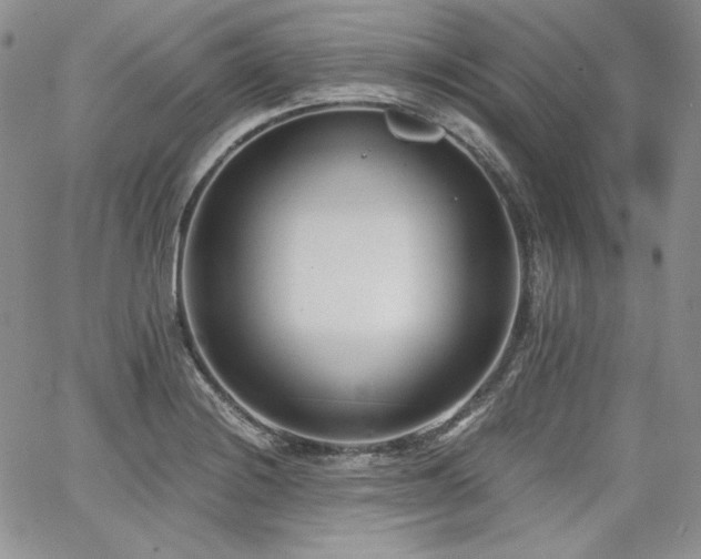 X0000068261228200604211036