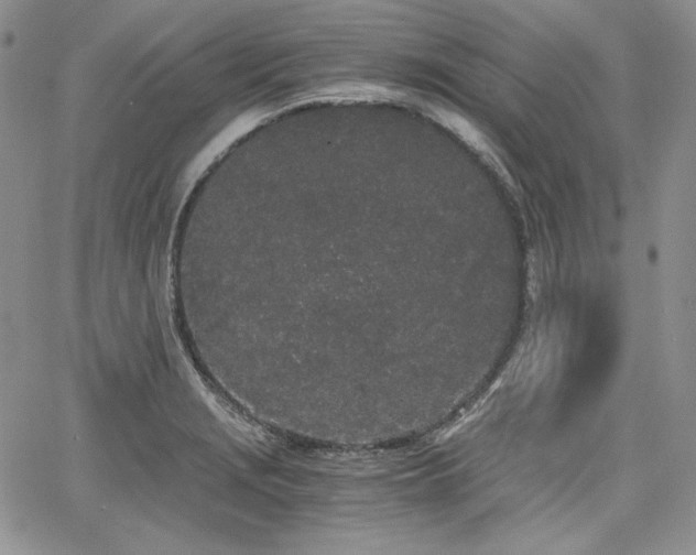 X0000068261229200604211036