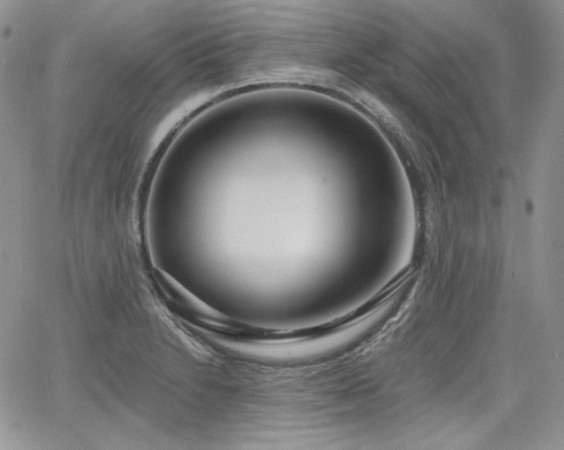 X0000068261230200604211036