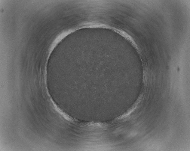 X0000068261231200604211036