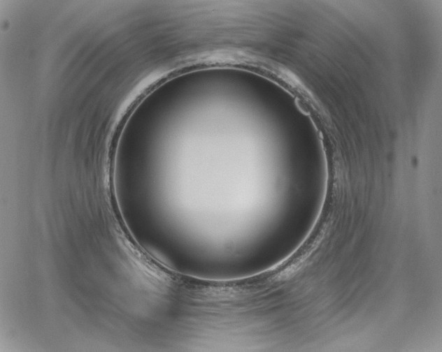 X0000068261232200604211036