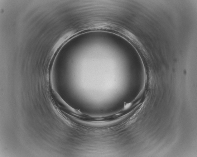 X0000068261234200604211036