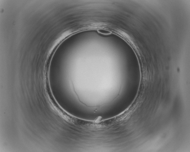 X0000068261235200604211036