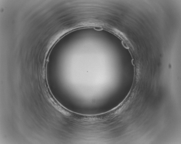 X0000068261236200604211036