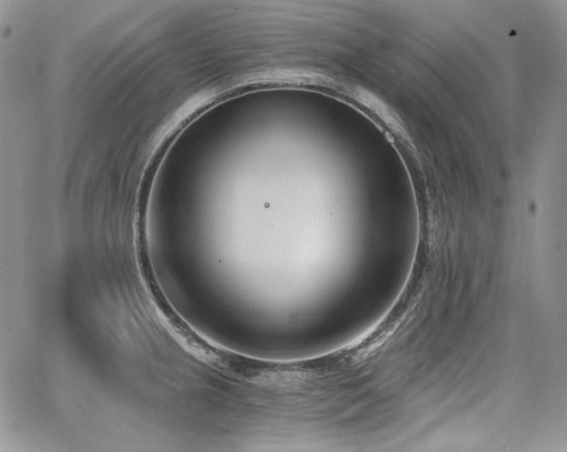 X0000068261237200604211036