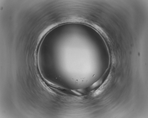 X0000068261238200604211036