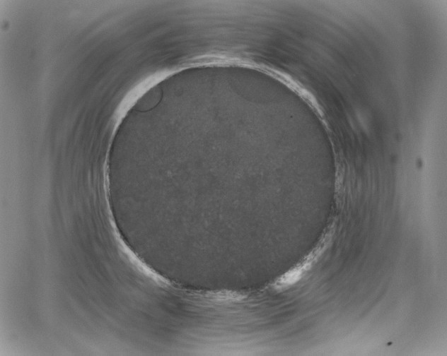 X0000068261239200604211036