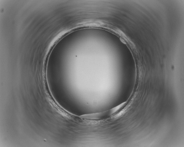 X0000068261240200604211036