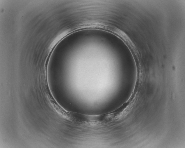 X0000068261242200604211036