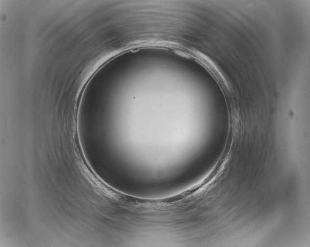 X0000068261244200604211036