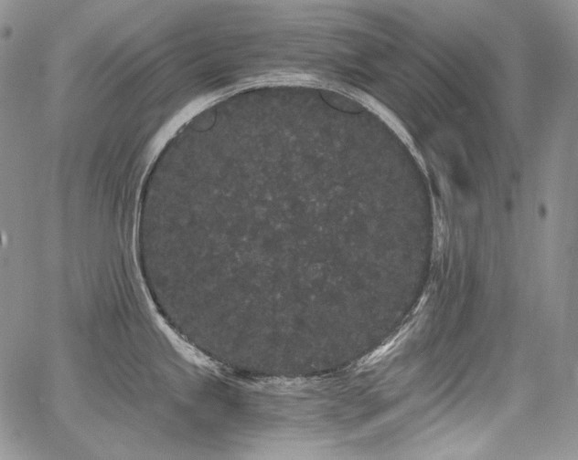 X0000068261245200604211036