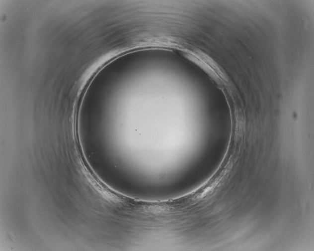 X0000068261246200604211036