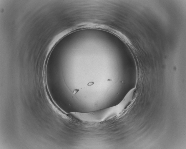 X0000068261247200604211036