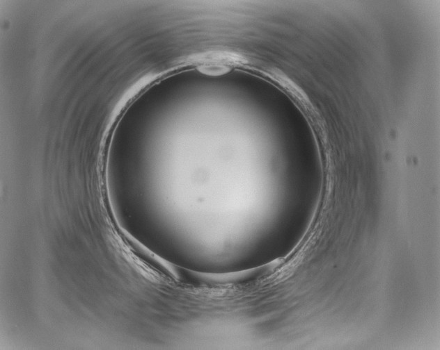 X0000068261248200604211036