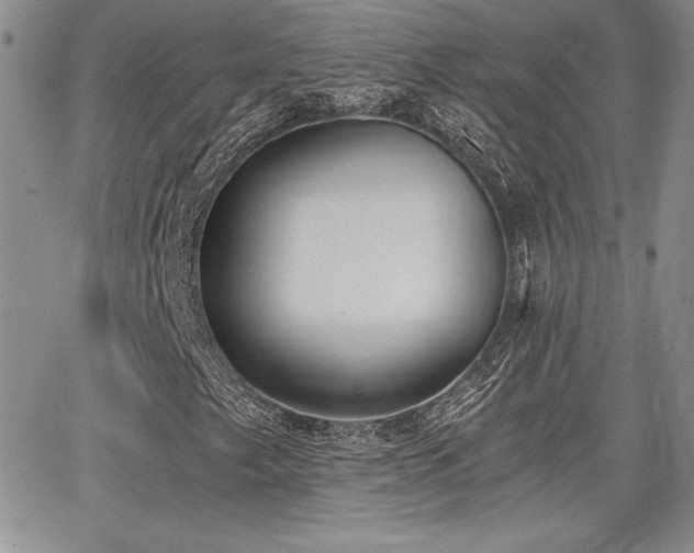 X0000068261249200604211036