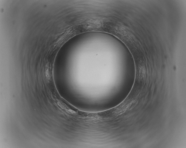 X0000068261250200604211036