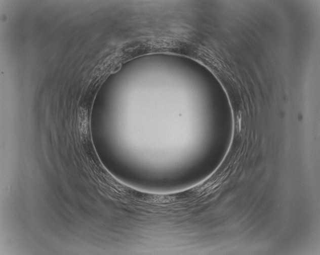 X0000068261251200604211036