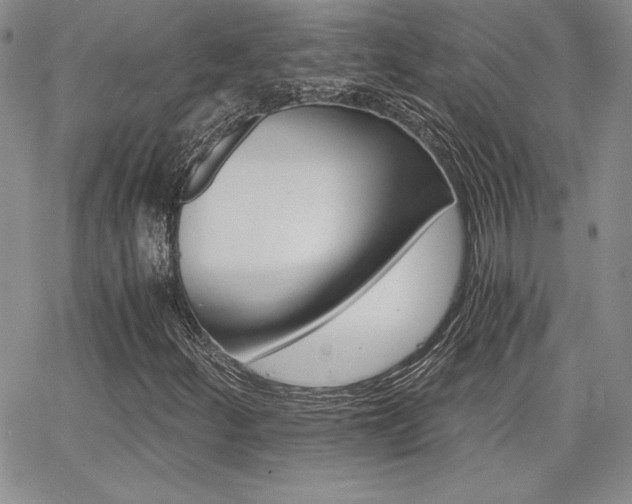 X0000068261252200604211035