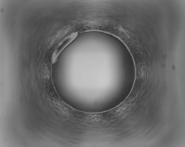 X0000068261253200604211035