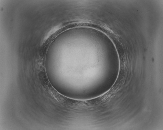 X0000068261255200604211035