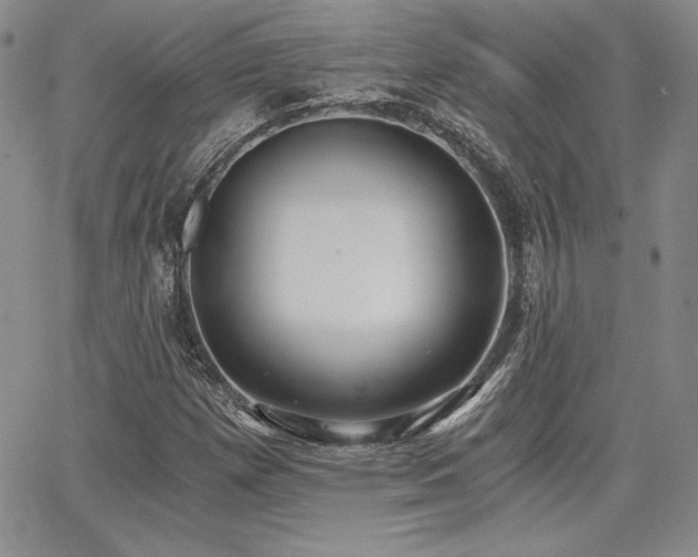 X0000068261257200604211035