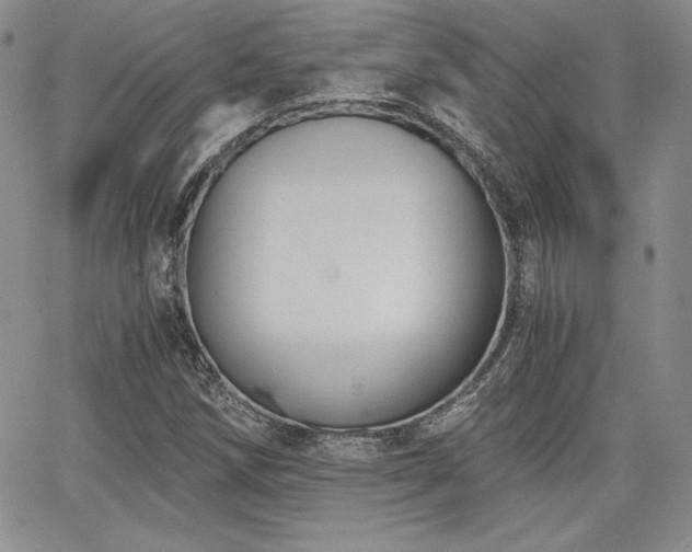 X0000068261258200604211035