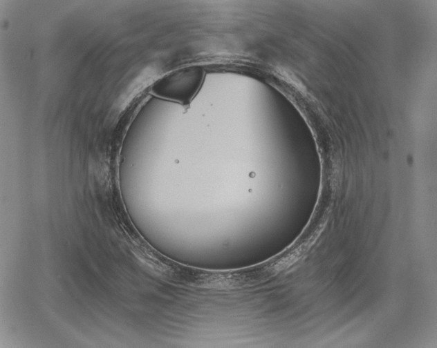 X0000068261259200604211035