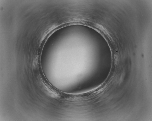 X0000068261260200604211035