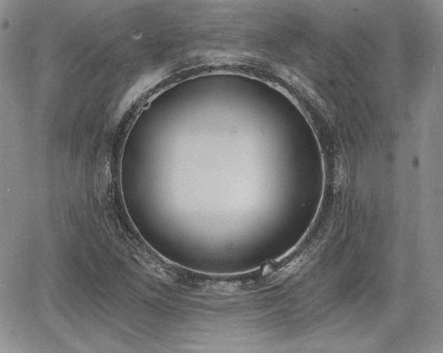 X0000068261261200604211035