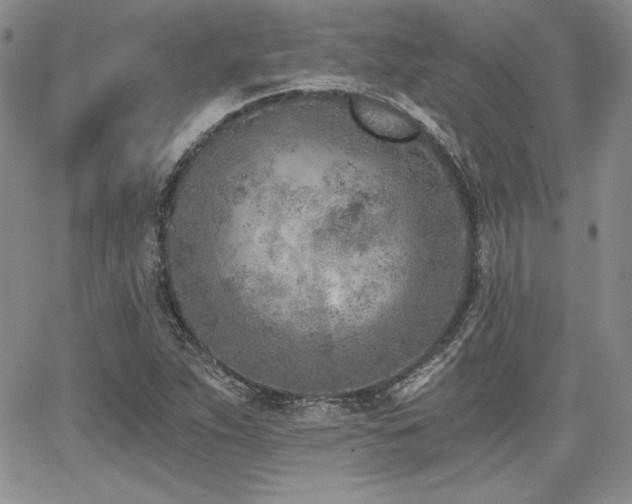 X0000068261263200604211035