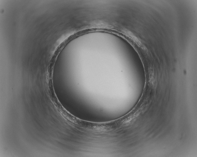 X0000068261264200604211035