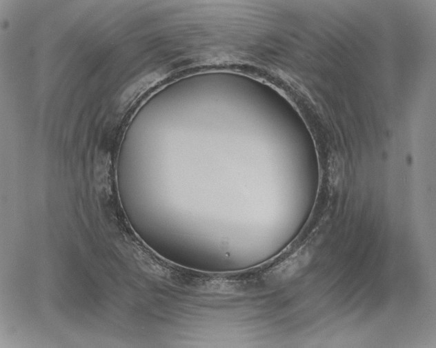 X0000068261265200604211035