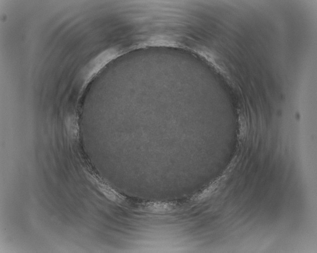 X0000068261266200604211035