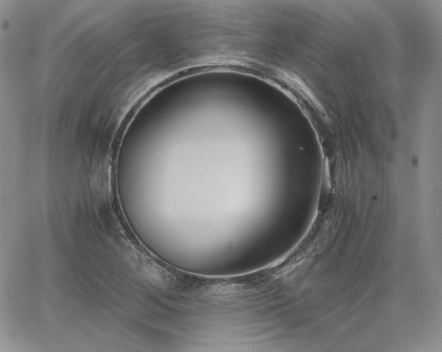 X0000068261268200604211035