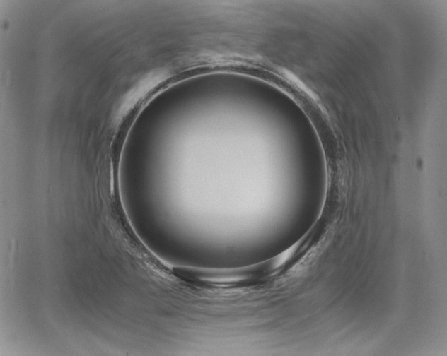 X0000068261269200604211035