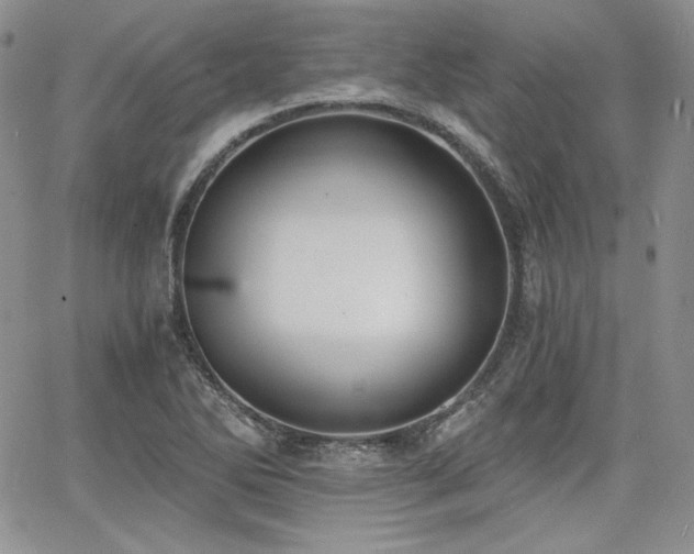 X0000068261270200604211035