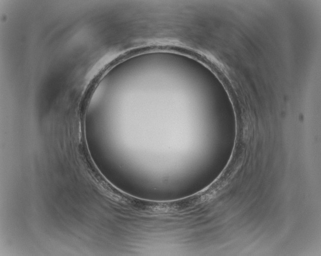 X0000068261271200604211035