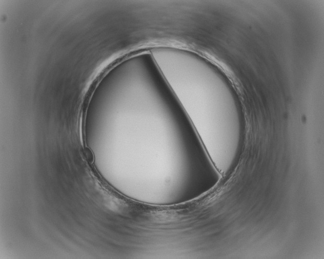 X0000068261272200604211035