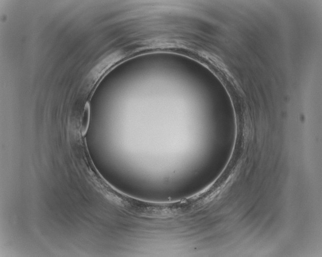 X0000068261273200604211035