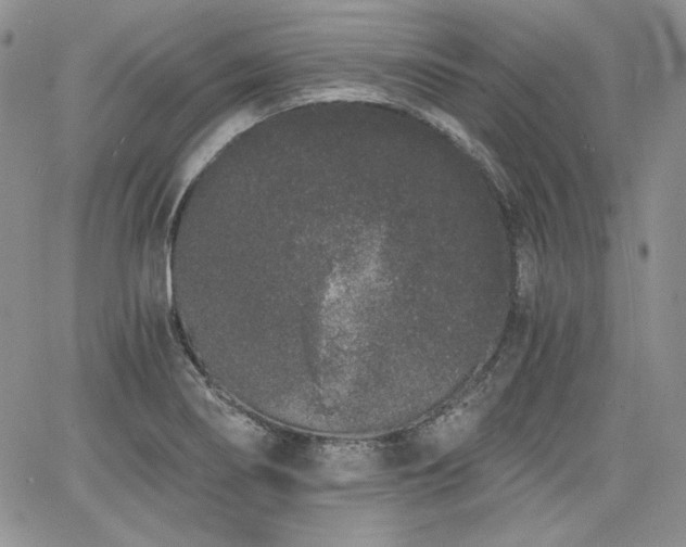 X0000068261274200604211035