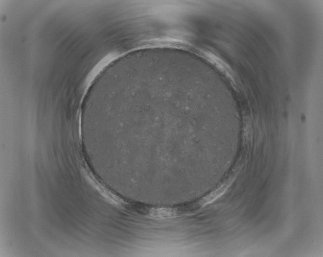 X0000068261275200604211035