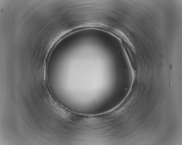 X0000068261276200604211035