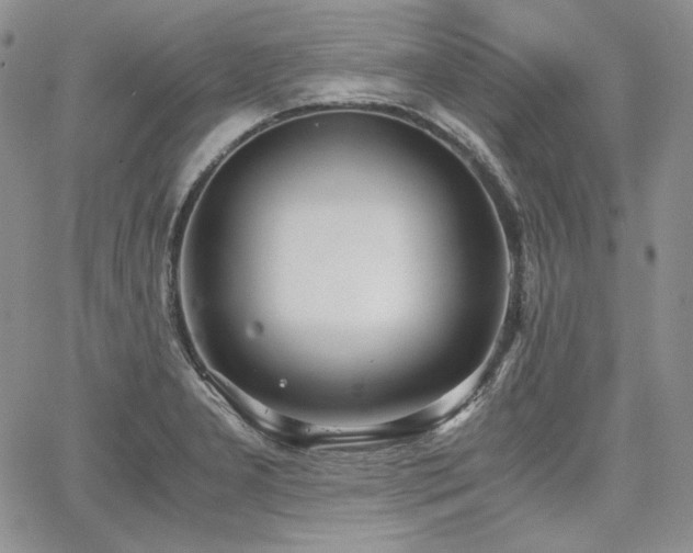 X0000068261277200604211035